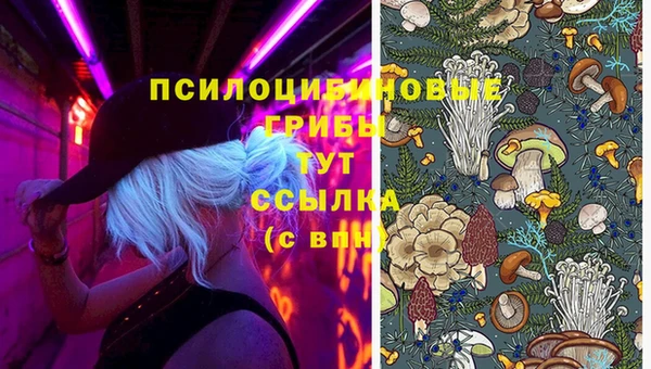 2c-b Балабаново